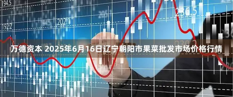 万德资本 2025年6月16日辽宁朝阳市果菜批发市场价格行情