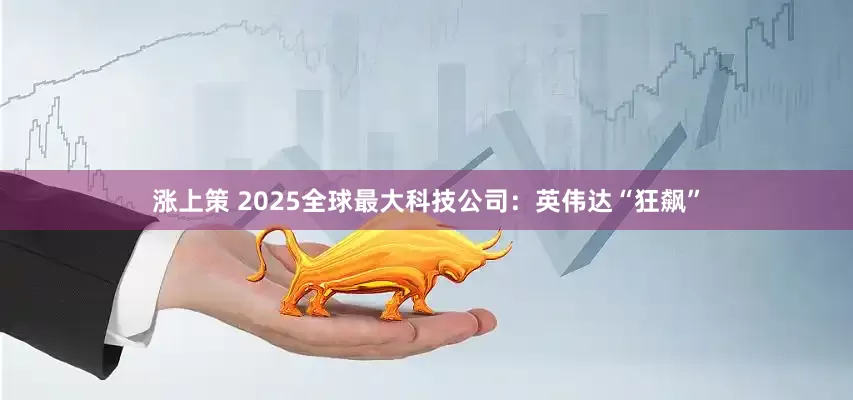 涨上策 2025全球最大科技公司：英伟达“狂飙”