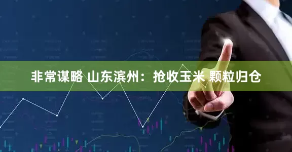 非常谋略 山东滨州：抢收玉米 颗粒归仓