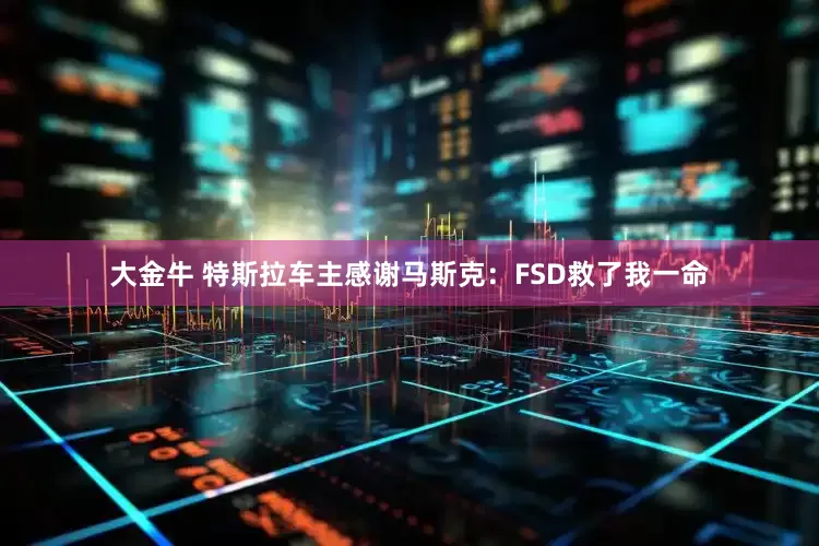 大金牛 特斯拉车主感谢马斯克：FSD救了我一命