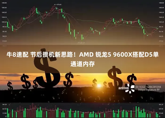 牛8速配 节后攒机新思路！AMD 锐龙5 9600X搭配D5单通道内存